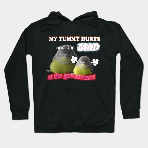 My Tummy Hurts And I'm Mad At The Government Meme Hoodie by swankyswamprat